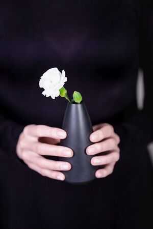 Beautiful female hands holding black vase with white carnation flower on black backgroundの写真素材
