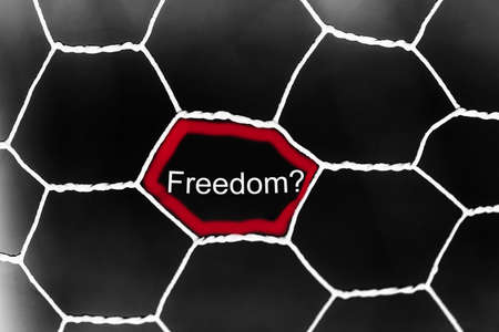 The word freedom in a steel fence. Lies concept. Black shabby background with red accentsの写真素材