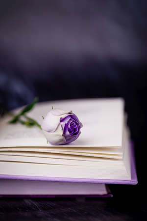 Beautiful light violet eustoma or lisianthus or prairie gentian flower and book on dark background, copy spaceの写真素材