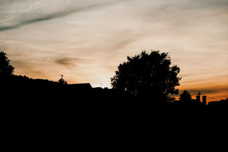 Black silhouettes of trees and roofs on light orange sunset sky background, copy space