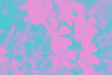 Pink magenta and aquamarine color background with flowers pattern
