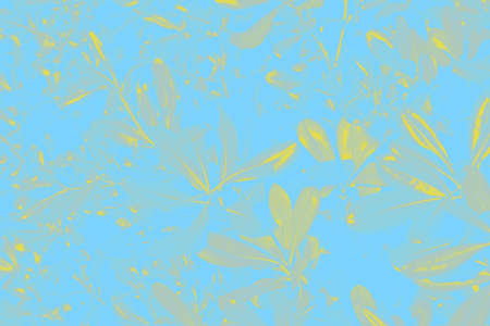Yellow ficus leaves on a blue background. Blue yellow floral background
