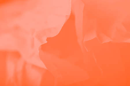 Orange gradient abstract background, soft wrapping paper. Bright orange background