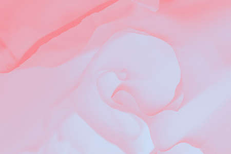 Delicate pale soft coral pink color abstract background, blurred lines