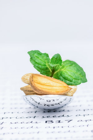 Dry apricot seeds and green leafの写真素材