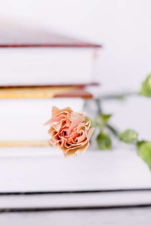 Tea rose color carnation flower on a stack of books backgroundの写真素材