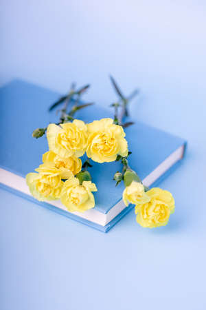 Yellow small carnation flowers and book on a light blue background, verticalの写真素材