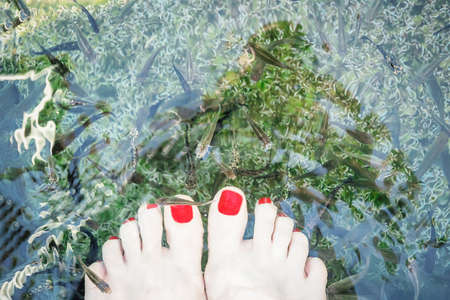 Feet with peeling feet fish in clear water. Famous thermal lake Vouliagmeni, Athens riviera, Attica, Greeceの写真素材