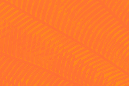 Vivid orange color background with palm leaves pattern
