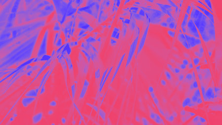 Fuchsia color and blue violet purple floral abstract background, panorama 16 on 9の写真素材