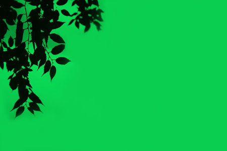 Silhouette of a tree branch on a green background