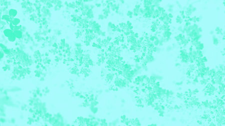 Delicate panorama background in green mint tones with a floral patternの写真素材