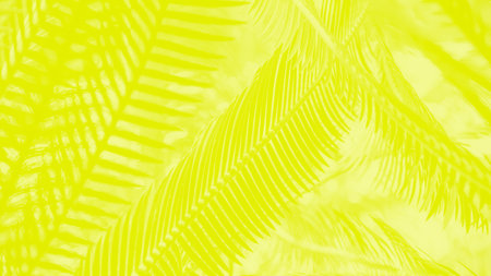 Vivid yellow lemon color abstract panoramic background with palm leaves patternの写真素材