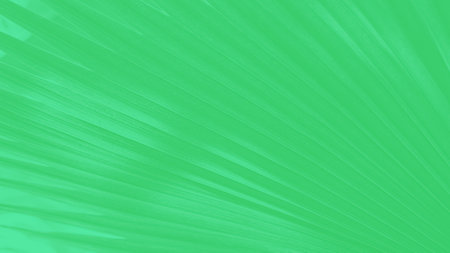 Abstract green panorama background with palm leaves patternの写真素材