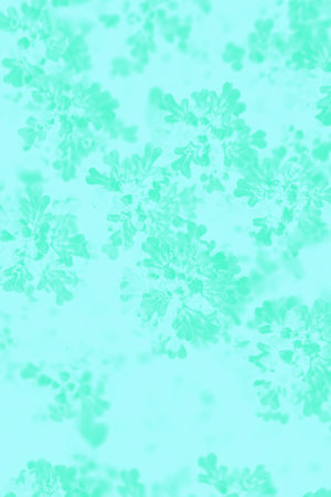 Delicate light mint color background in green tones with a floral patternの写真素材