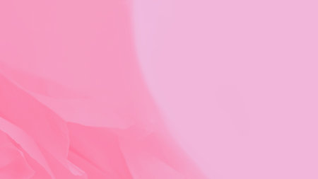Soft delicate pink gradient panorama background wallpaperの写真素材
