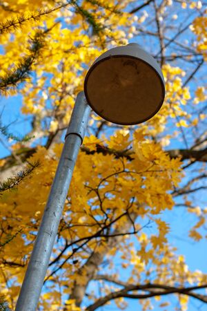 Lamppost on the background of autumn trees. The iron column, the lamp does not light. Sky is blue.の写真素材