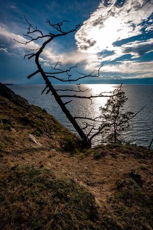 View of Lake Baikal with a tree on the very edge of a rocky cliff. On the blue sky behind the clouds is the sun. Backlight with sun rays through the clouds. Vertical frame.の写真素材
