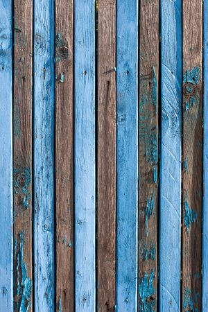 Background from old shabby blue narrow boards with two rows of nails. On many boards there is no paint, a lot of knots, arranged vertically. Vertical frame.の写真素材