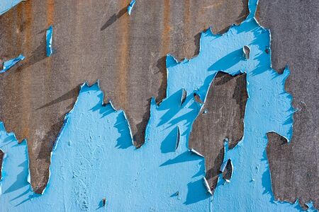 Abstract background. Rusty metal surface with old peeled blue paint. Torn paint hangs in places.