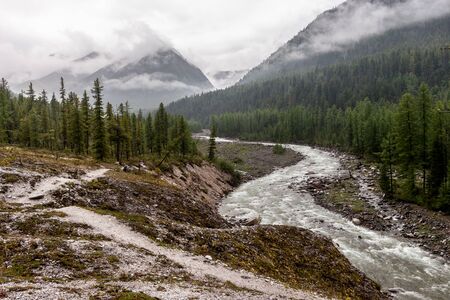 Mountain trail next to the river in the mountains. A lot of coniferous forest. Clouds and fog over the mountains in the background. Horizontal.の写真素材