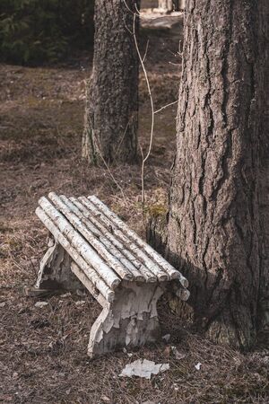 A white wooden old bench stands crookedly next to a thick tree. Abandoned bench by the tree. On the bench are many coniferous needles from a tree. Vertical.の写真素材