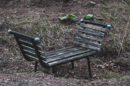 Old bench in the forest with knobs. Peeling paint. Grass around. Horizontal.の写真素材