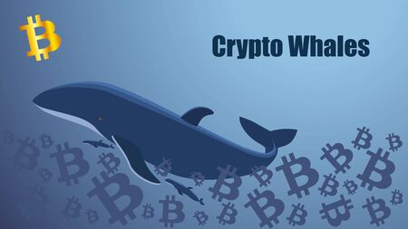 Concept screen with crypto whale floating in the sea of bitcoins. Golden bitcoin icon. Template for website or news illustration. Blue background. Vectorのイラスト素材