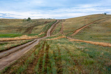 Lots of dirt roads in the steppe hills. Horizontal image.