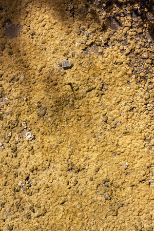 Soil background with pebbles and dried silt. Vertical photo.