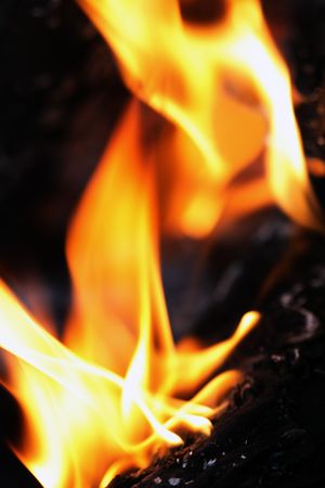 Background with single flame on darkの写真素材