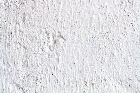 Blank gray wall textured for your designers ideasの写真素材