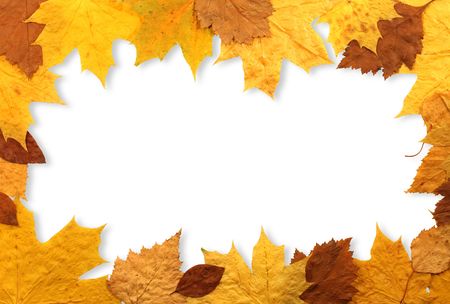 Frame made from dry autumn leaves.の写真素材
