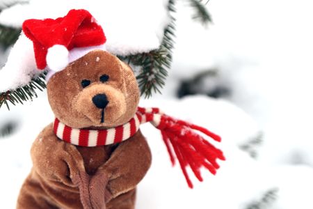 Christmas Teddy Bear isolated on background with snow and firtreeの写真素材