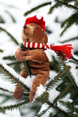 Christmas Teddy Bear on background with snow and firtreeの写真素材