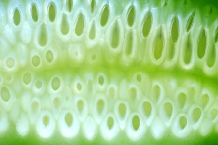 Green abstract background made from fresh sliced cucumberの写真素材