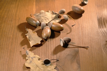 Dry oak leaves and acorns on wooden background