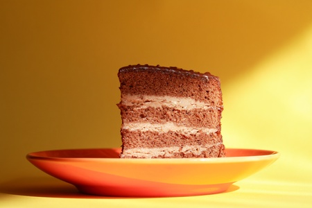 A piece of freshness chocolate sponge cake on saucerの写真素材