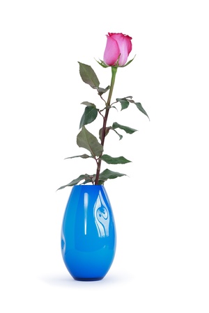 Red rose with leaves in nice blue glass vase. Isolated on white with clipping pathの写真素材