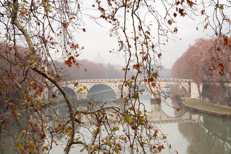 Autumn leaves twig on background with ancient bridge across Tiber river. Rome, Italyの写真素材