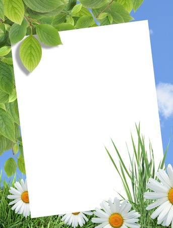 Ecology concept. Blank sheet of paper for text on nature background with green plants and flowersの写真素材