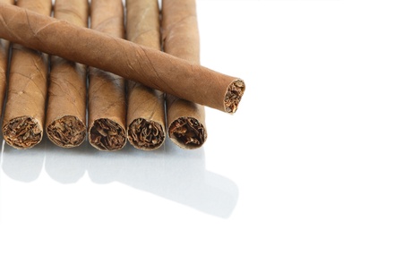 Few cigars in a row on white background with reflection