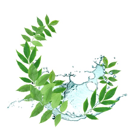 Ecology concept.Abstract composition with green leaves and splashing waterの写真素材