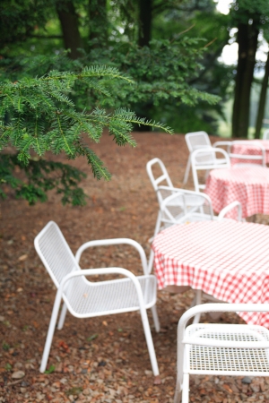 Few empty tables and chairs under wet fir tree in forestの写真素材