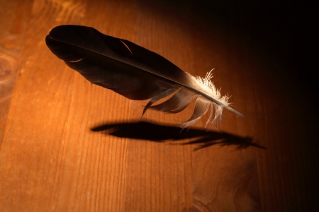 Inspiration Concept. Feather flying above wooden surface under beam of lightの写真素材