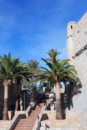 Staircase and palm trees near stone wall of ancient fortress in old spanish town named Peniscolaの写真素材