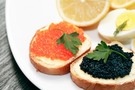Two sandwiches with red and black caviar on plate near lemon and eggの写真素材