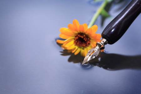 Poetry symbol. Still life with ink pen and flower on water surface