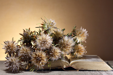 Vintage still life. Bunch of dry flowers on old bookの写真素材