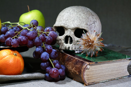 Cold tones vintage still life with human skull on old book near ftuitsの写真素材